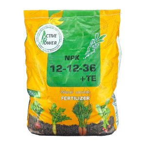 12-12-36 اکتیو پاور
