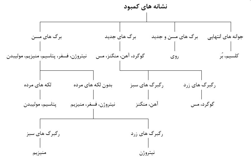 کمبود